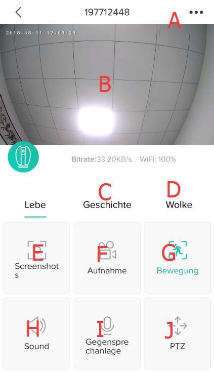 Echtzeit-Video-Schnittstelle