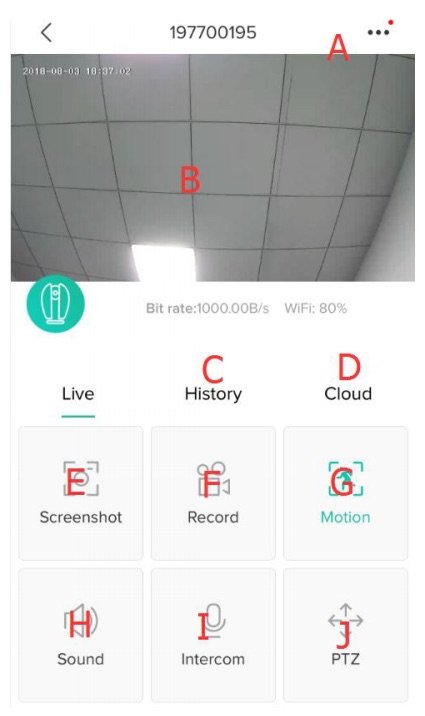 Interface vidéo en temps réel