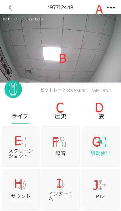 リアルタイム動画画面